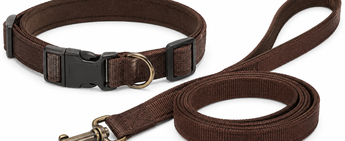 How to Choose the Right Dog Collar and Lead