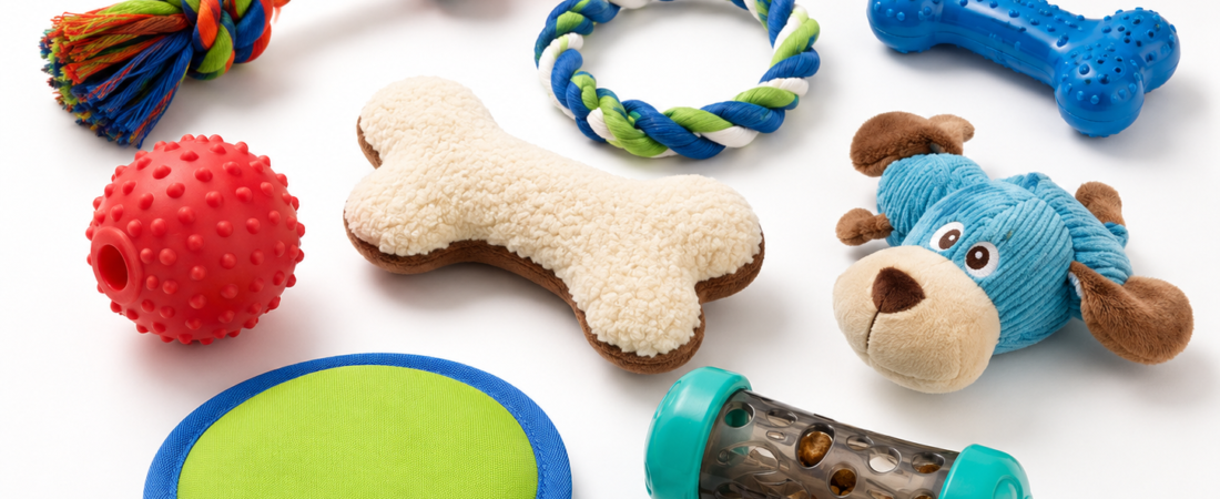 5 Essential Dog Products Every New Owner Needs