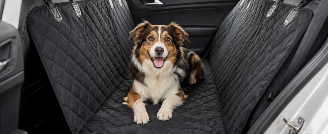 How to Choose the Right Dog Car Seat Cover